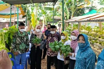 Komunitas Ayo Menanam Indonesia Launching Kebun KAMI