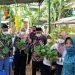Komunitas Ayo Menanam Indonesia Launching Kebun KAMI