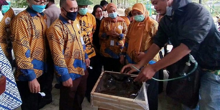 ITERA Panen Hasil Budidaya Madu Bersama Suhita Bee Farm