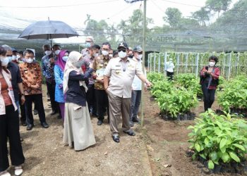 Gubernur Arinal Dukung Kesejahteraan Petani Kopi Melalui KUR dan Bantuan Mesin Pengolahan Bubuk Kopi