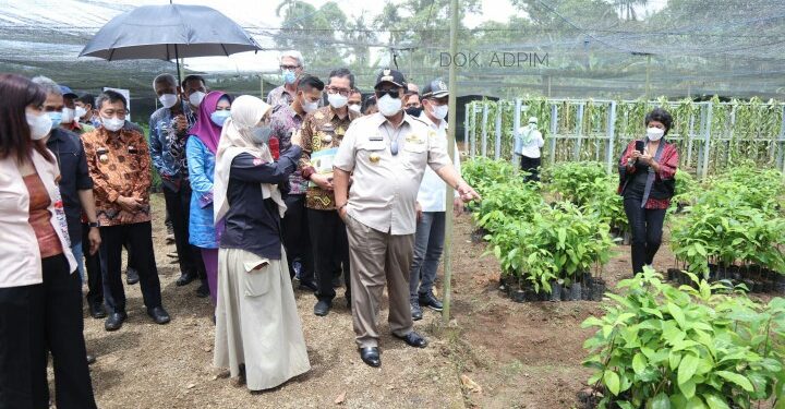 Gubernur Arinal Dukung Kesejahteraan Petani Kopi Melalui KUR dan Bantuan Mesin Pengolahan Bubuk Kopi