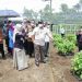 Gubernur Arinal Dukung Kesejahteraan Petani Kopi Melalui KUR dan Bantuan Mesin Pengolahan Bubuk Kopi