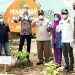 50 Tahun di Indonesia, Nestlé Perkuat Kemitraan untuk Perkebunan Kopi Berkelanjutan