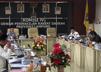 Ade Utami Kawal Pembangunan Gedung Perpustakaan Modern Lampung
