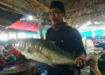 Jelang Tahun Baru, Harga Ikan Naik Hingga 30%