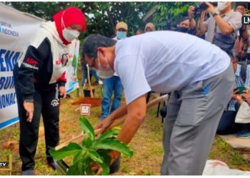 Pemkot Bersama PT Pelindo Tanam 2000 Bibit Pohon Alpukat