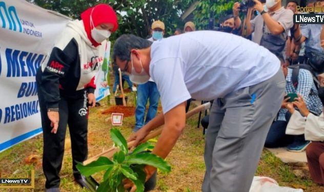 Pemkot Bersama PT Pelindo Tanam 2000 Bibit Pohon Alpukat