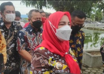 Seluruh Distributor Minyak Goreng Kosong, Walikota Eva Akan Tindak Tegas Penimbun