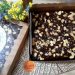 Brownies Aisharaa.id Renyah Di Luar Chewy Di Dalam