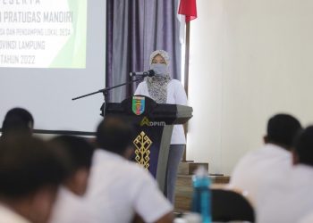 Wagub Chusnunia Dorong Pendamping Desa dan  Lokal Desa Jadi Agen Perubahan