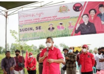 Ketua DPD PDI-P Lampung Panen Raya dan Berikan Bantuan di Lampung Tengah