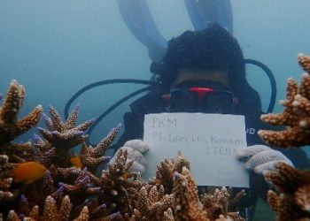 Mahasiswa dan Dosen SLL ITERA Rehabilitasi Terumbu Karang Teluk Kiluan