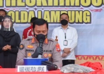 Polda Lampung Ciduk Tersangka Penjual 33 Kg Sisik Trenggiling