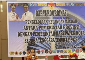 Kemendagri Jelaskan Uang Daerah di Bank sebagai Uang Kas, Bukan Disimpan