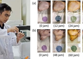 Dosen ITERA Manfaatkan Limbah Batang Sawit Jadi Kertas Pendeteksi Kesegaran Makanan