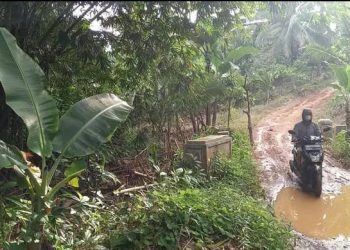 Jembatan Penghubung Antar Pendukuhan di Ketibung Lampung Selatan Terancam Putus