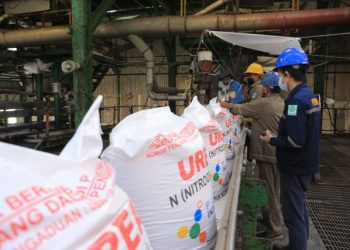 Stok Pupuk Subsidi Lampung 44.663 Ton Untuk Empat Pekan