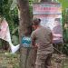 Satpol PP Lamsel Turunkan Ratusan Banner di Sepanjang Jalan Lintas Sumatera