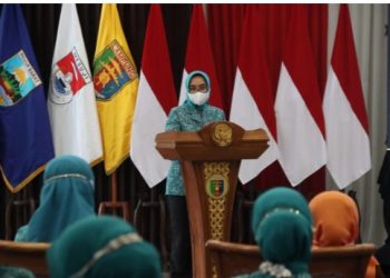 Ketua TP PKK Provinsi Lampung Buka Webinar Peringatan Hari Kartini