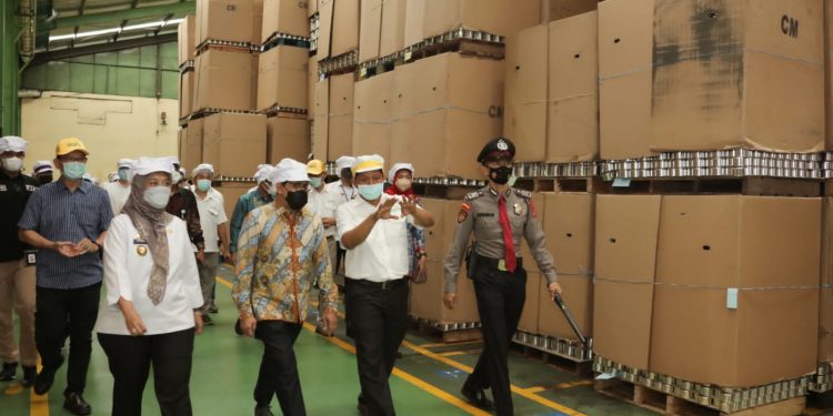 Wagub Chusnunia Dampingi Mendes PDTT Kunjungi PT. Great Giant Pineapple