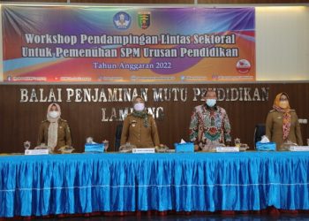 Wagub Chusnunia Ajak Kabupaten/Kota Wujudkan Pendidikan Bermutu melalui Standar Pelayanan Minimal