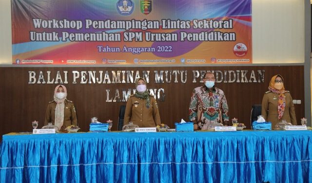 Wagub Chusnunia Ajak Kabupaten/Kota Wujudkan Pendidikan Bermutu melalui Standar Pelayanan Minimal