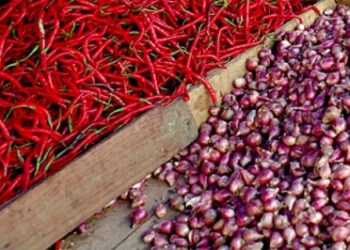 Harga Cabai Merah Terus Merangkak Naik Jelang Idul Adha