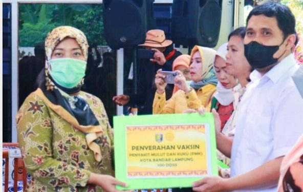 Wagub Chusnunia Pimpin Apel Siaga Pencanangan Vaksinasi Penyakit Mulut dan Kuku (PMK)