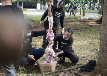 Unila Potong Hewan Kurban 34 Sapi dan 5 Kambing
