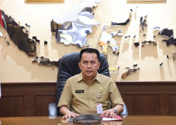 Dirjen Keungan Daerah Ingatkan Pentingnya Perencanaan dan Penganggaran APBD