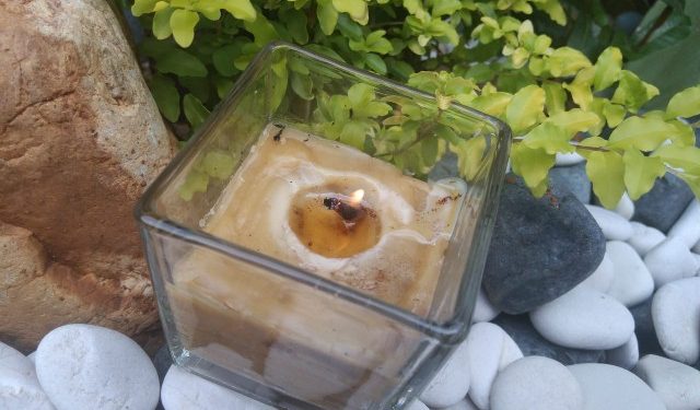 Lilin Aroma Terapi dari Sarang Lebah Buatan Tim Unila Raih Medali Emas WSEEC