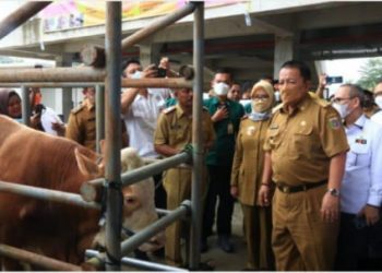 Gubernur Arinal Djunaidi Canangkan Kabupaten Tubaba sebagai Sentra Ternak di Provinsi Lampung