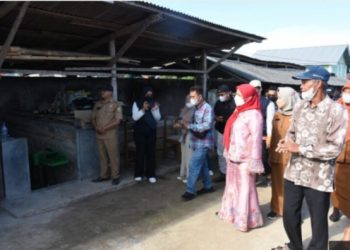 Cegah  Penyebaran Virus PMK, Walikota Eva Dwiana  Tinjau Penyemprotan Desinfektan di Kandang Peternak