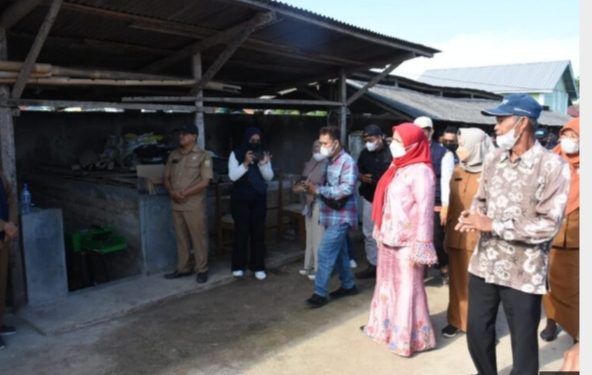 Cegah  Penyebaran Virus PMK, Walikota Eva Dwiana  Tinjau Penyemprotan Desinfektan di Kandang Peternak