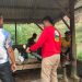 Polisi Grebek Tambang Batu Ilegal di Dusun Talang Padang, 4 Penambang Jadi Tersangka