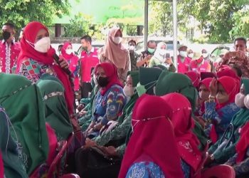 Walikota Bagikan  Dana Operasional  Pulsa  kepada 2.318 Kader  Keluarga Berencana