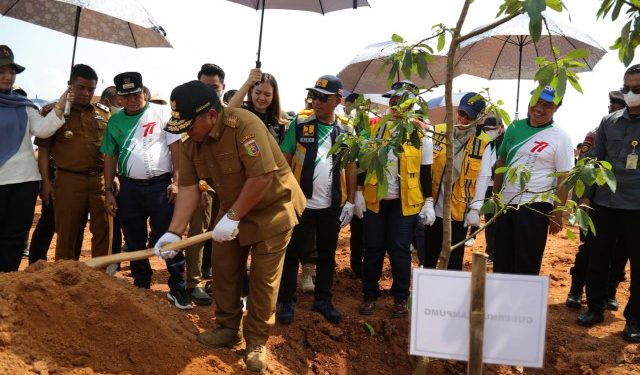 Gubernur Arinal Lakukan Penanaman 1.770 Bibit Pohon di Bendungan Margatiga Lampung Timur