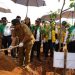 Gubernur Arinal Lakukan Penanaman 1.770 Bibit Pohon di Bendungan Margatiga Lampung Timur