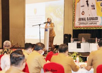 Wagub Chusnunia Buka Rakor Reformasi Birokrasi dan Akuntabilitas Kinerja