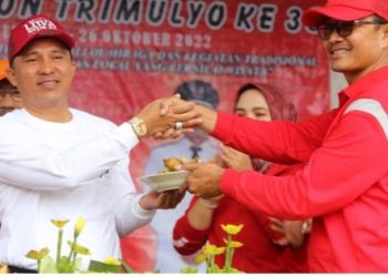HUT Ke-38 Pekon Trimulyo, Bupati Parosil Ajak Warga Pertahankan Budaya Gotong Royong