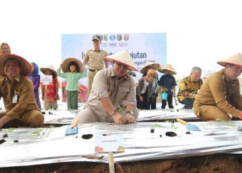 Gubernur Arinal Laksanakan Gerakan Tanam Cabai untuk Kendalikan Inflasi Pangan