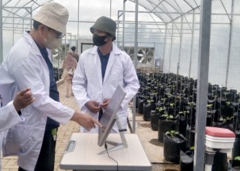 Dosen Itera Luncurkan Smart Farming System, Dosis Pupuk Presisi Berbasis Digital