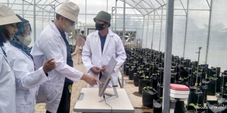Dosen Itera Luncurkan Smart Farming System, Dosis Pupuk Presisi Berbasis Digital