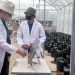 Dosen Itera Luncurkan Smart Farming System, Dosis Pupuk Presisi Berbasis Digital