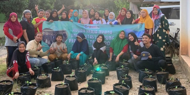 Mahasiswa KKN Unila Edukasi Warga Pakuan Manfaatkan Perkarangan