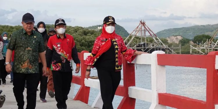 Walikota Eva Dwiana akan  Lanjutkan Pembangunan Jembatan Pulau Pasaran