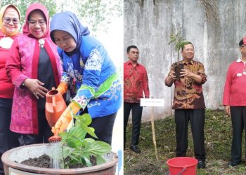 Gerakan Nasional Lada Lampung, 500 Lada Perdu Ditanam di Embung Unila