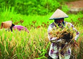 Resesi Global, Sektor Pertanian dan UMKM Bumper Ekonomi Indonesia