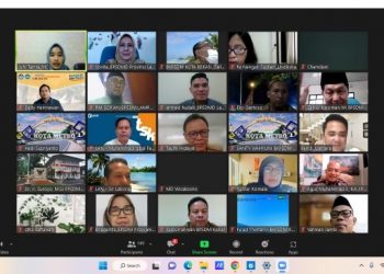 Pokja Widyaiswara Lampung dan Unila Gelar Webinar Reformasi Birokrasi
