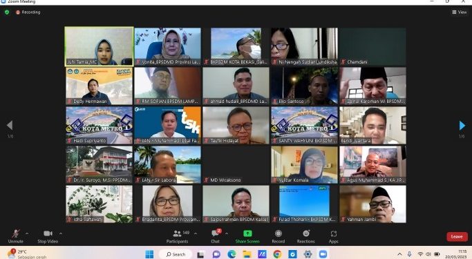 Pokja Widyaiswara Lampung dan Unila Gelar Webinar Reformasi Birokrasi